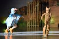 Lionking 0146